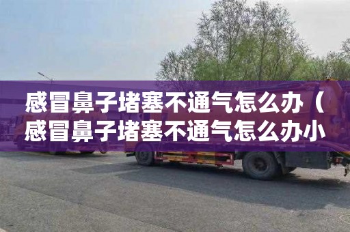 感冒鼻子堵塞不通气怎么办（感冒鼻子堵塞不通气怎么办小妙招）