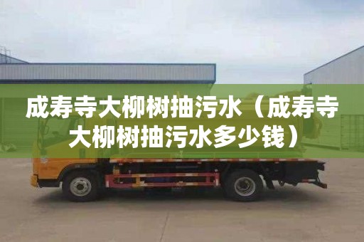 成寿寺大柳树抽污水（成寿寺大柳树抽污水多少钱）