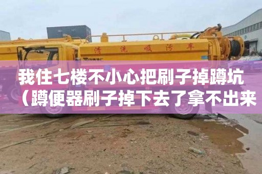我住七楼不小心把刷子掉蹲坑（蹲便器刷子掉下去了拿不出来）