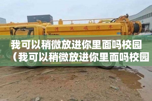 我可以稍微放进你里面吗校园（我可以稍微放进你里面吗校园版）