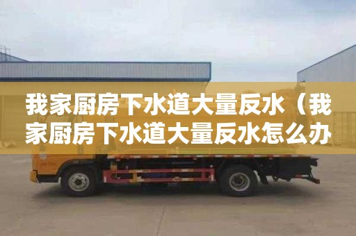 我家厨房下水道大量反水（我家厨房下水道大量反水怎么办）