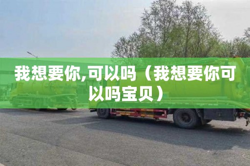 我想要你,可以吗（我想要你可以吗宝贝）