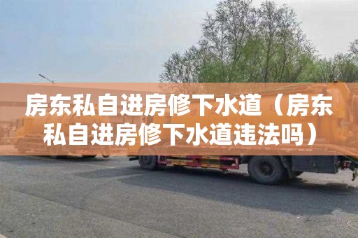 房东私自进房修下水道（房东私自进房修下水道违法吗）