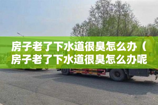房子老了下水道很臭怎么办（房子老了下水道很臭怎么办呢）