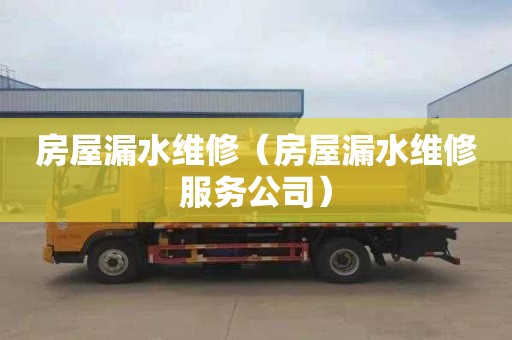 房屋漏水维修（房屋漏水维修服务公司）