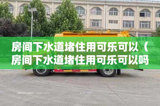 房间下水道堵住用可乐可以（房间下水道堵住用可乐可以吗）