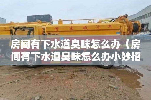 房间有下水道臭味怎么办（房间有下水道臭味怎么办小妙招）