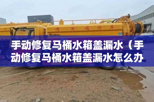 手动修复马桶水箱盖漏水（手动修复马桶水箱盖漏水怎么办）