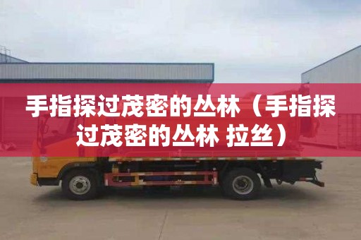 手指探过茂密的丛林（手指探过茂密的丛林 拉丝）
