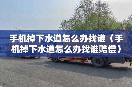 手机掉下水道怎么办找谁（手机掉下水道怎么办找谁赔偿）