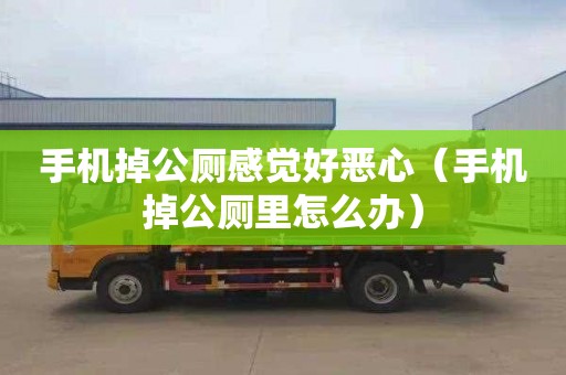 手机掉公厕感觉好恶心（手机掉公厕里怎么办）