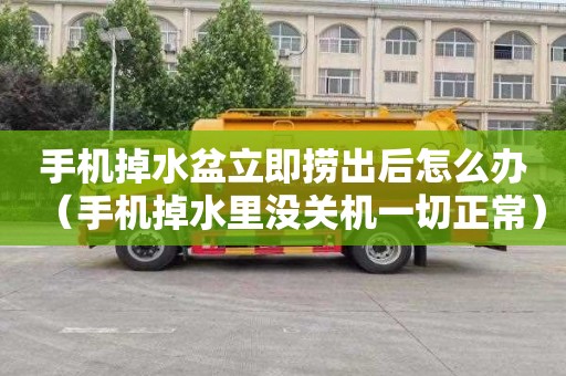 手机掉水盆立即捞出后怎么办（手机掉水里没关机一切正常）