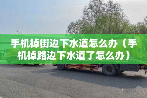 手机掉街边下水道怎么办（手机掉路边下水道了怎么办）