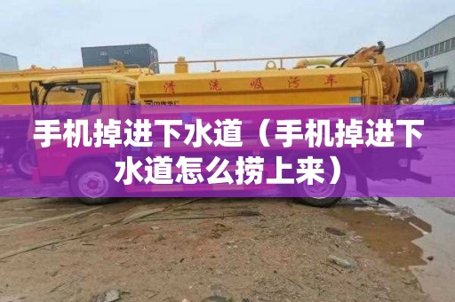 手机掉进下水道（手机掉进下水道怎么捞上来）
