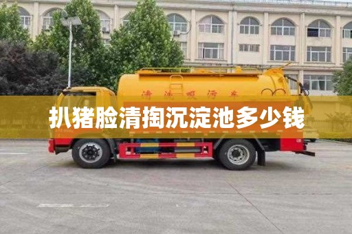 扒猪脸清掏沉淀池多少钱