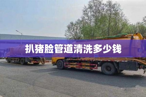 扒猪脸管道清洗多少钱