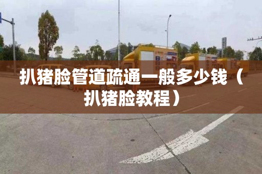 扒猪脸管道疏通一般多少钱（扒猪脸教程）