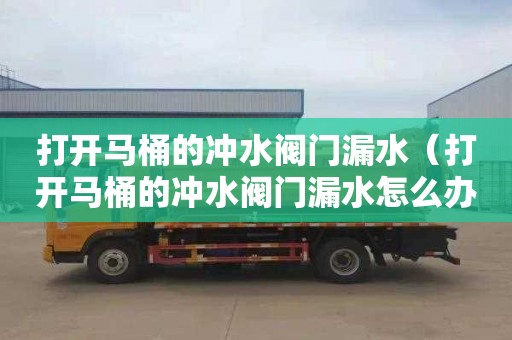 打开马桶的冲水阀门漏水（打开马桶的冲水阀门漏水怎么办）