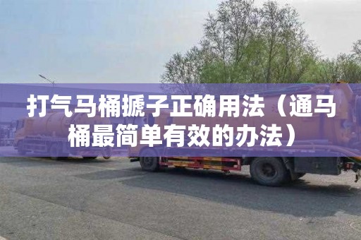 打气马桶搋子正确用法（通马桶最简单有效的办法）