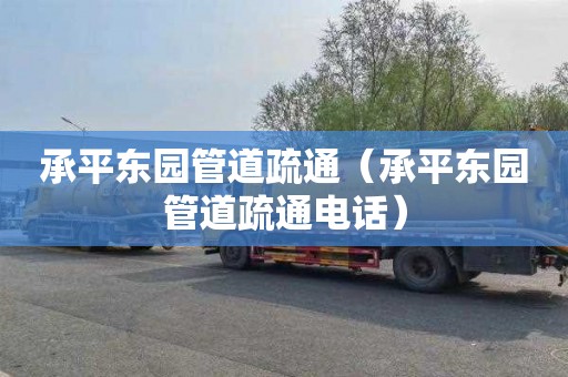承平东园管道疏通（承平东园管道疏通电话）