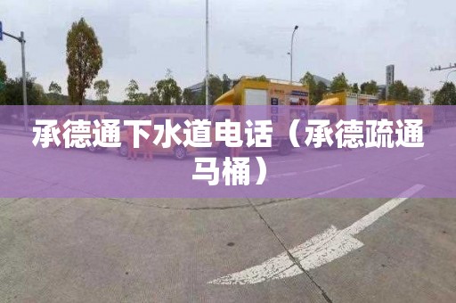 承德通下水道电话（承德疏通马桶）