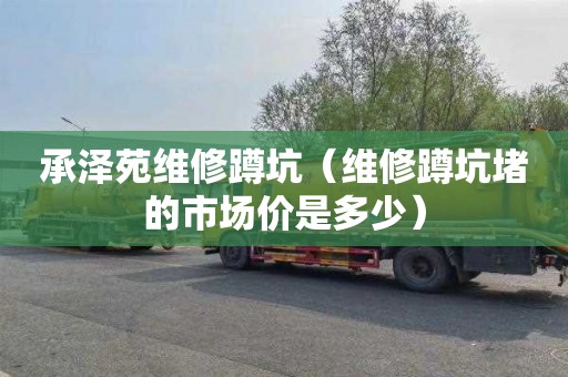承泽苑维修蹲坑（维修蹲坑堵的市场价是多少）