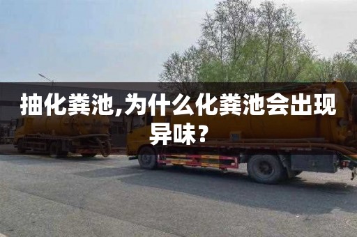 抽化粪池,为什么化粪池会出现异味？