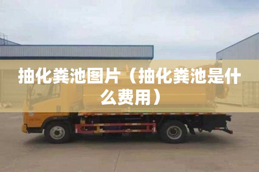 抽化粪池图片（抽化粪池是什么费用）