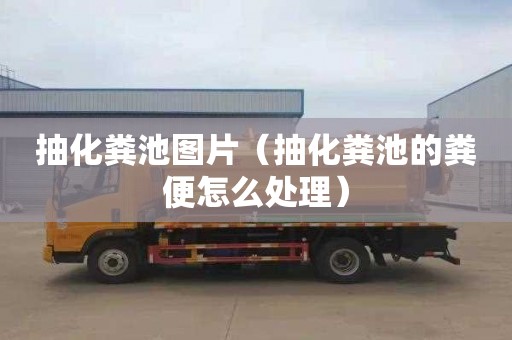 抽化粪池图片（抽化粪池的粪便怎么处理）
