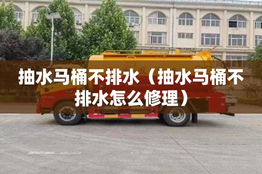 抽水马桶不排水（抽水马桶不排水怎么修理）