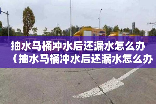抽水马桶冲水后还漏水怎么办（抽水马桶冲水后还漏水怎么办呢）