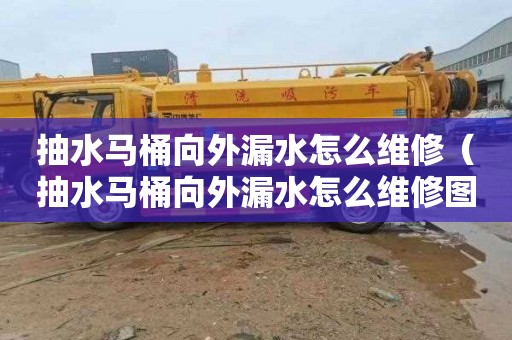 抽水马桶向外漏水怎么维修（抽水马桶向外漏水怎么维修图解）