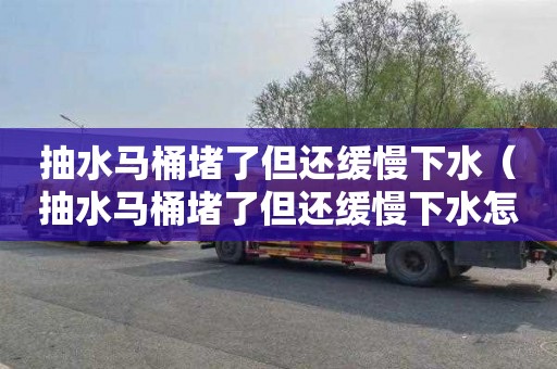 抽水马桶堵了但还缓慢下水（抽水马桶堵了但还缓慢下水怎么才能疏通）