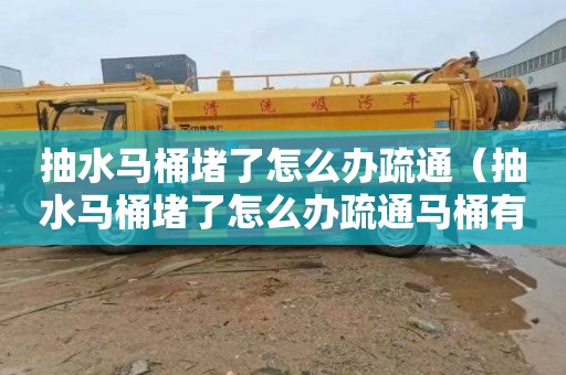 抽水马桶堵了怎么办疏通（抽水马桶堵了怎么办疏通马桶有妙招）