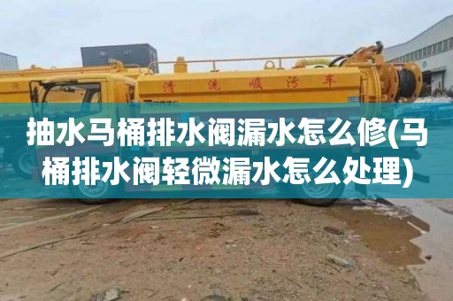 抽水马桶排水阀漏水怎么修(马桶排水阀轻微漏水怎么处理)