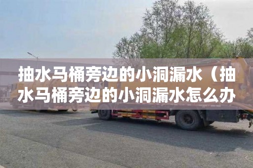 抽水马桶旁边的小洞漏水（抽水马桶旁边的小洞漏水怎么办）