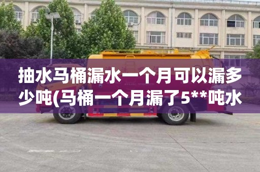 抽水马桶漏水一个月可以漏多少吨(马桶一个月漏了5**吨水)