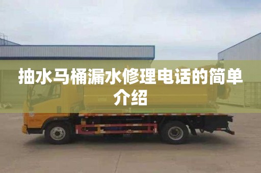 抽水马桶漏水修理电话的简单介绍