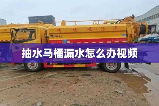 抽水马桶漏水怎么办视频
