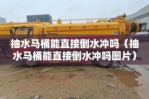 抽水马桶能直接倒水冲吗（抽水马桶能直接倒水冲吗图片）