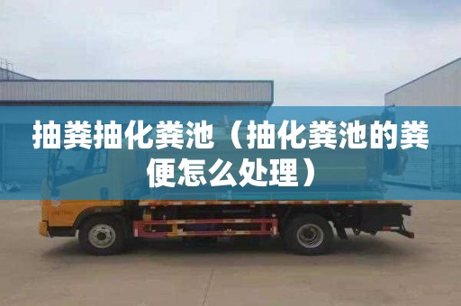 抽粪抽化粪池（抽化粪池的粪便怎么处理）