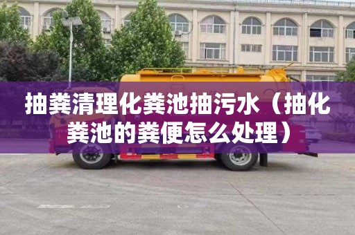 抽粪清理化粪池抽污水（抽化粪池的粪便怎么处理）