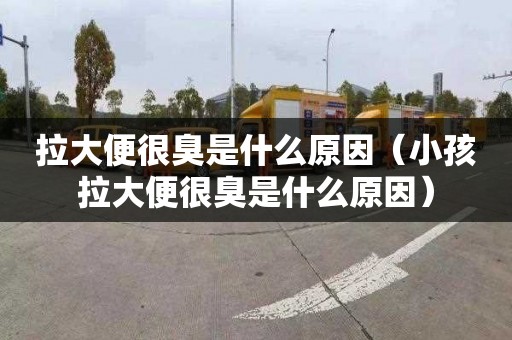拉大便很臭是什么原因（小孩拉大便很臭是什么原因）