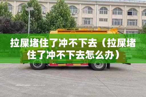 拉屎堵住了冲不下去（拉屎堵住了冲不下去怎么办）