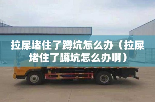 拉屎堵住了蹲坑怎么办（拉屎堵住了蹲坑怎么办啊）