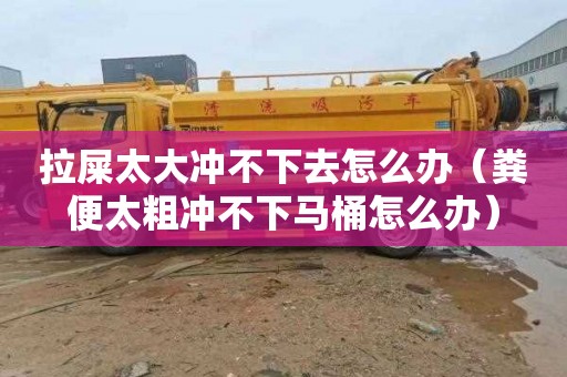 拉屎太大冲不下去怎么办（粪便太粗冲不下马桶怎么办）