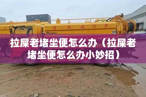 拉屎老堵坐便怎么办（拉屎老堵坐便怎么办小妙招）