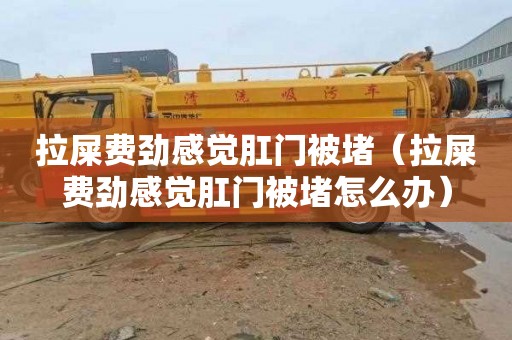 拉屎费劲感觉肛门被堵（拉屎费劲感觉肛门被堵怎么办）