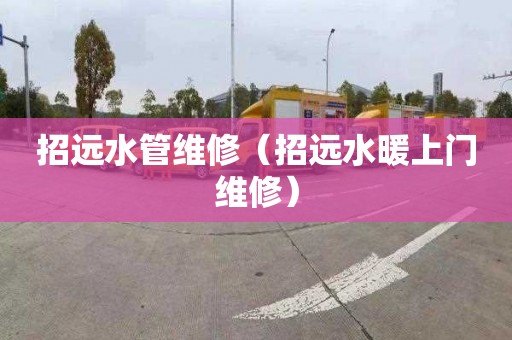 招远水管维修（招远水暖上门维修）