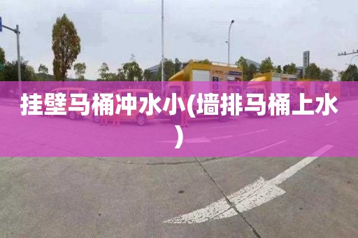 挂壁马桶冲水小(墙排马桶上水)